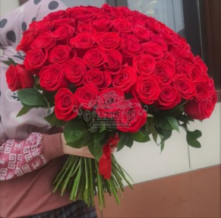 101 Хаза