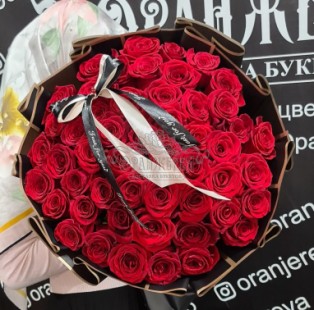 Фристайл