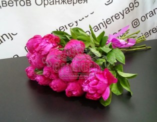Патриция