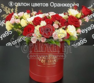 Топпас