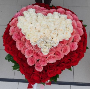 Сердце 3Д